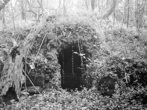 The artificial grotto lurks beneath the Louisiana jungle.